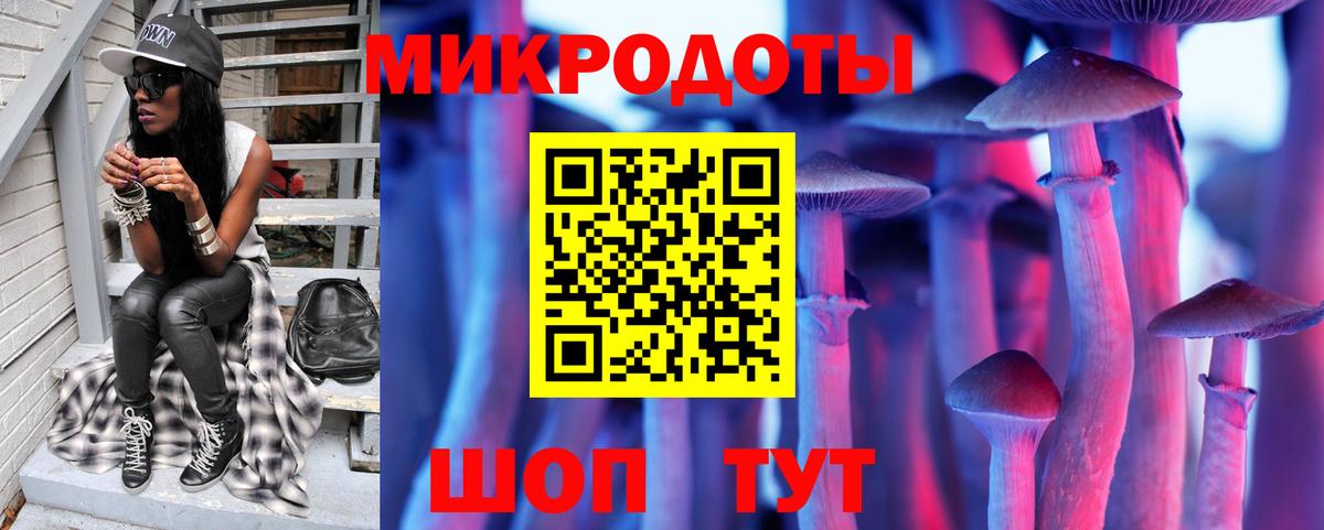 Галлюциногенные грибы мухоморы Кольчугино